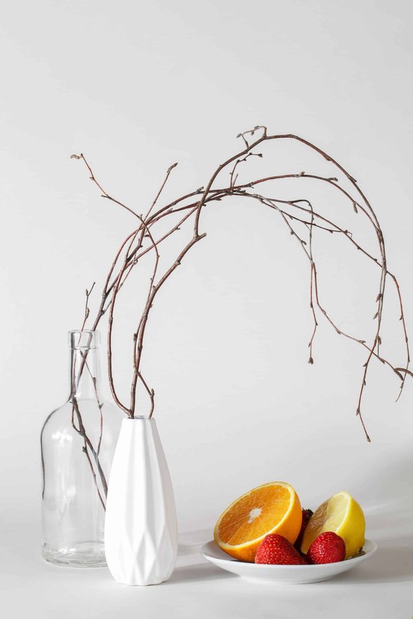 Wie kann man das Immunsystem von älteren Hauskatzen auf natürliche Weise stärken?